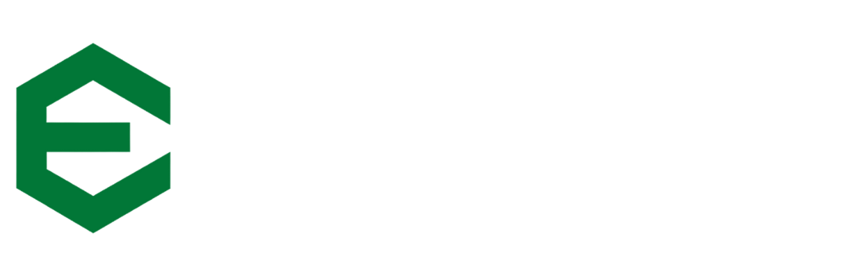 Estrategia Informática